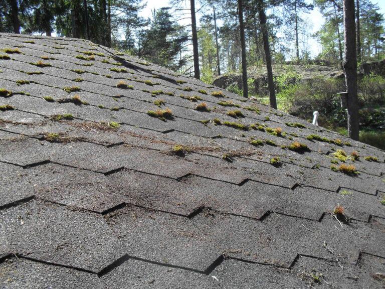 Näin onnistut katon puhdistuksessa
